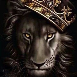 king KOTC